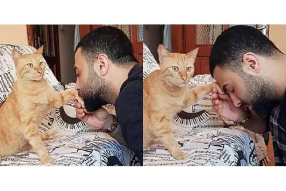 instagram.com/bagihumor