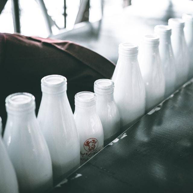unsplash.com/Mehrshad Rajabi