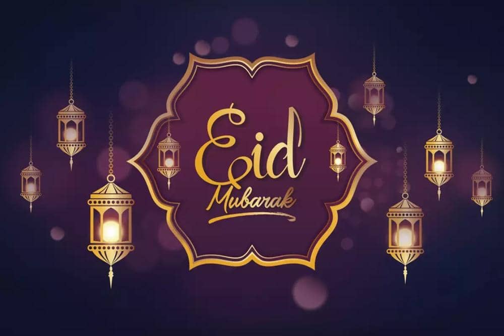 timesofindia.indiatimes.com