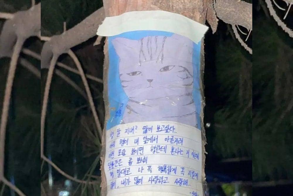 twitter.com/xrlldxgzmn