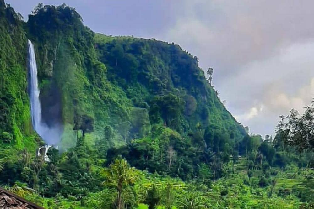 Instagram.com / ronysiregar