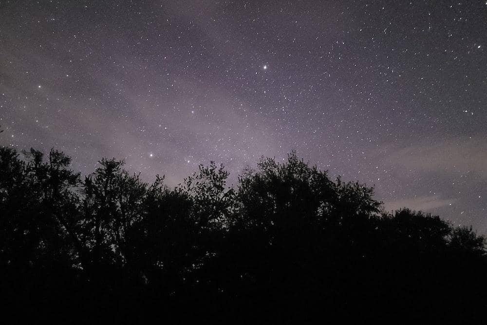 pexels.com/nathan-a-prechel