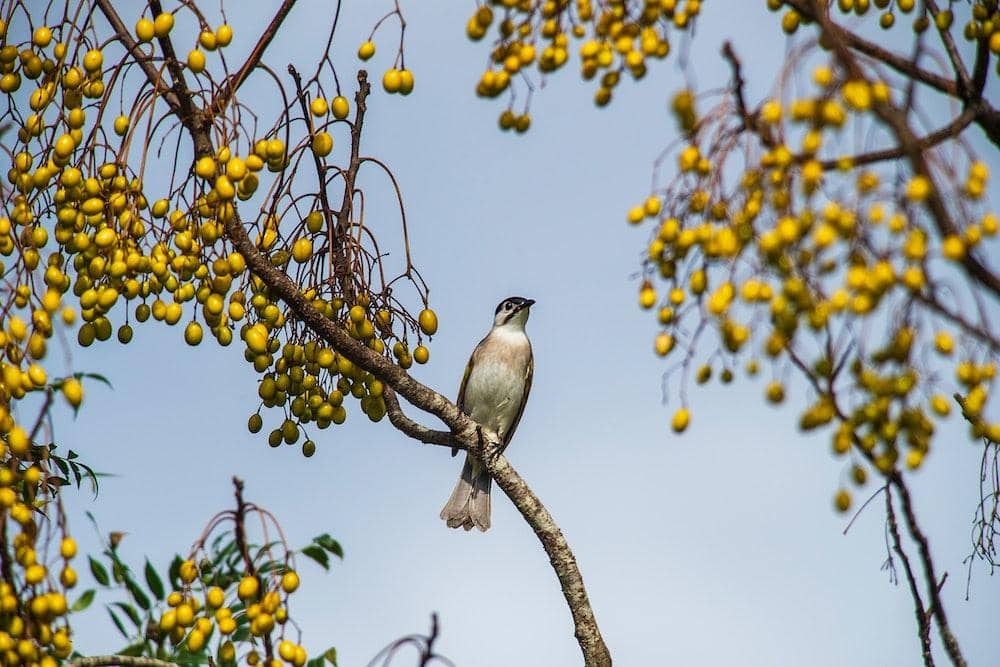 Pexels.com/Klub Boks