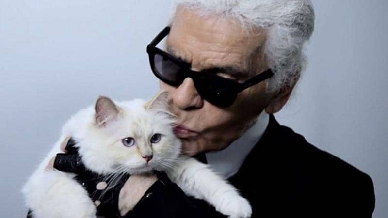Instagram.com/choupetteofficial