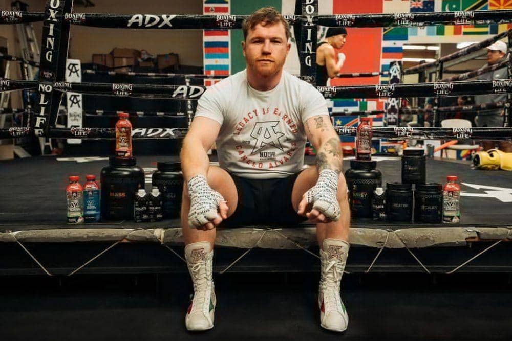 instagram.com/canelo