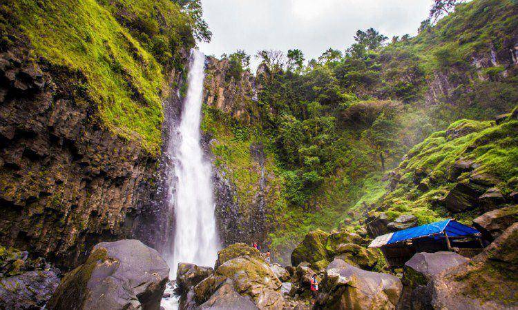 Celebes ID