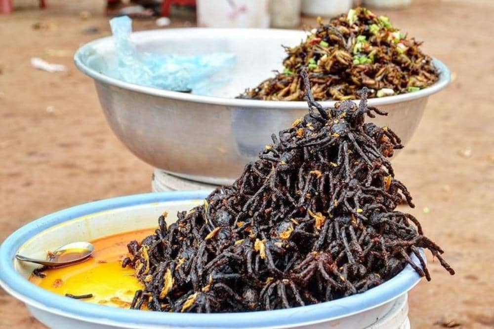 Instagram.com / anitamaciektrips