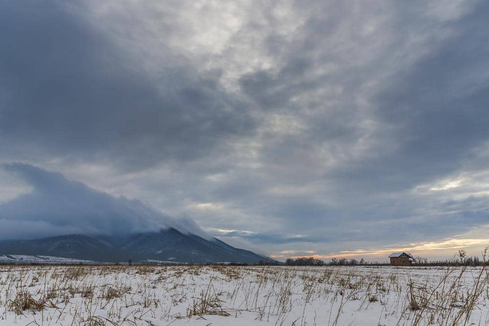 Image by wirestock on Freepik