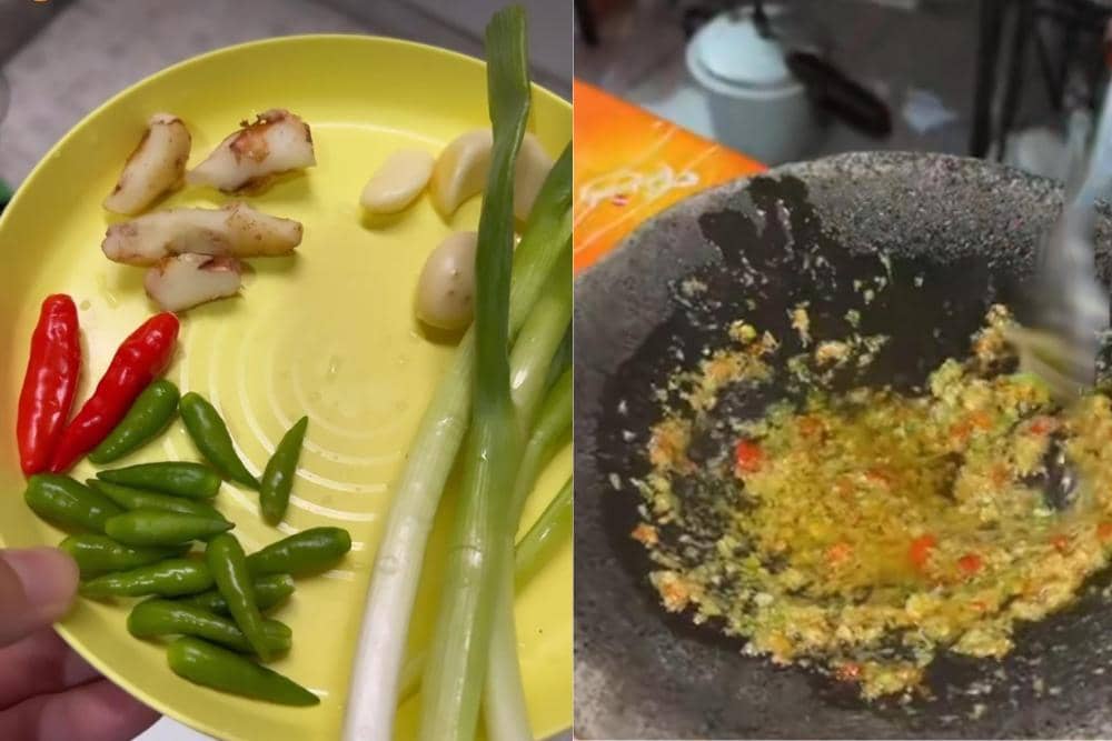 tiktok.com/rafaell_1616