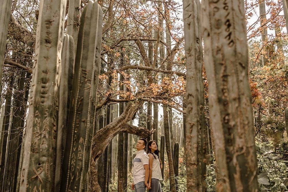 Pexels.com/Becerra Govea Photo