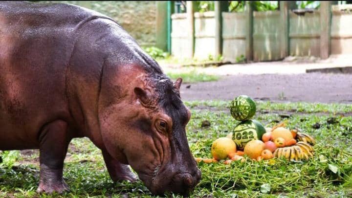 Instagram.com / kebunbinatangsurabaya