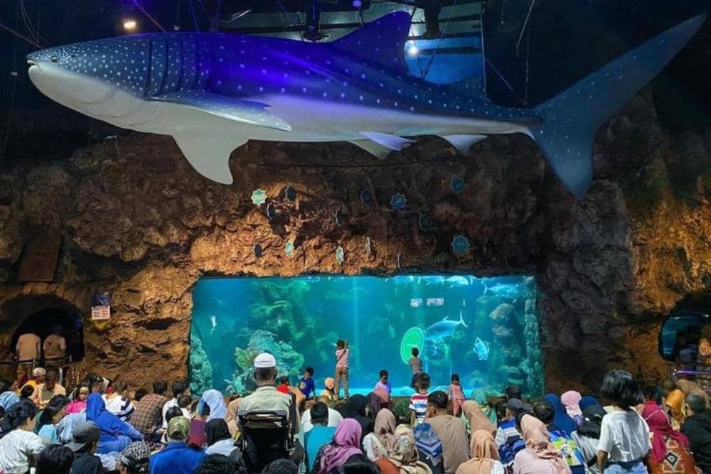 Instagram.com / ancoltamanimpian