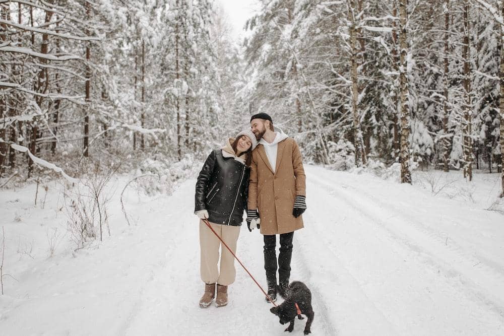 Pexels.com/Pavel Danilyuk