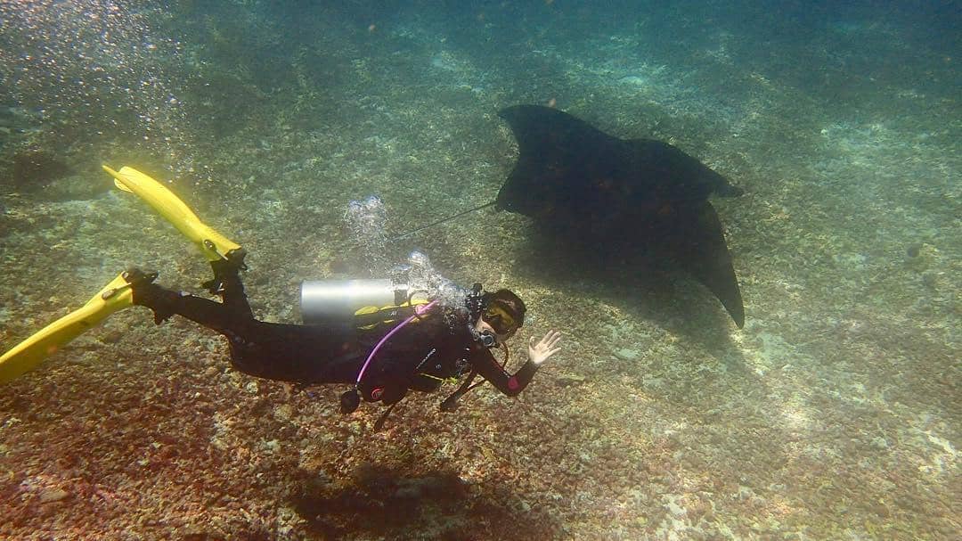 instagram.com/titiradjopadmaja