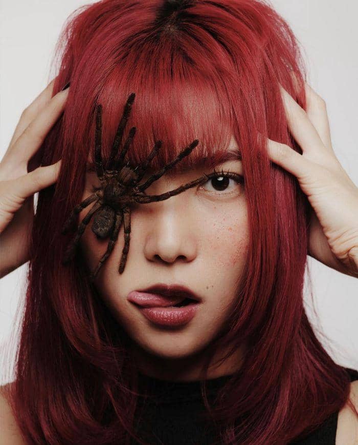 Photo by Babam Bramaditia