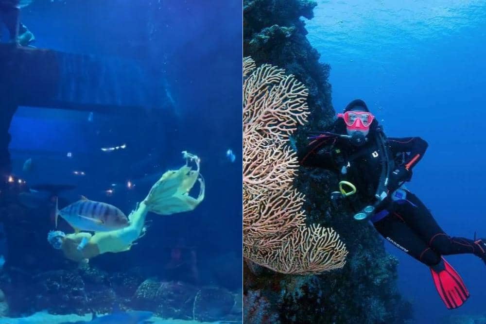 instagram.com/riaricis1795