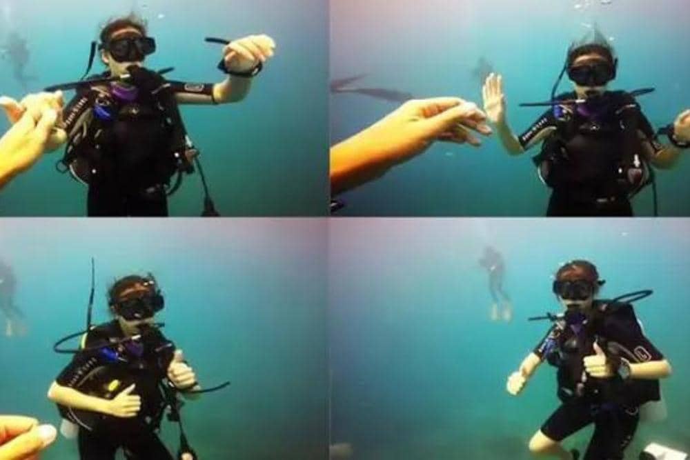 instagram.com/raisa6690