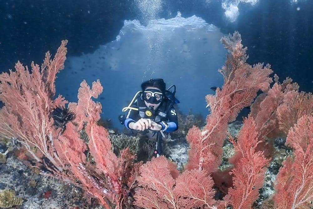 instagram.com/sabrinaanggraini