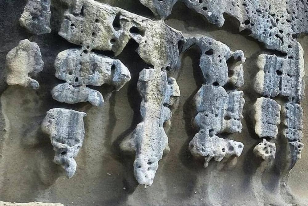 Instagram.com / selayar_id