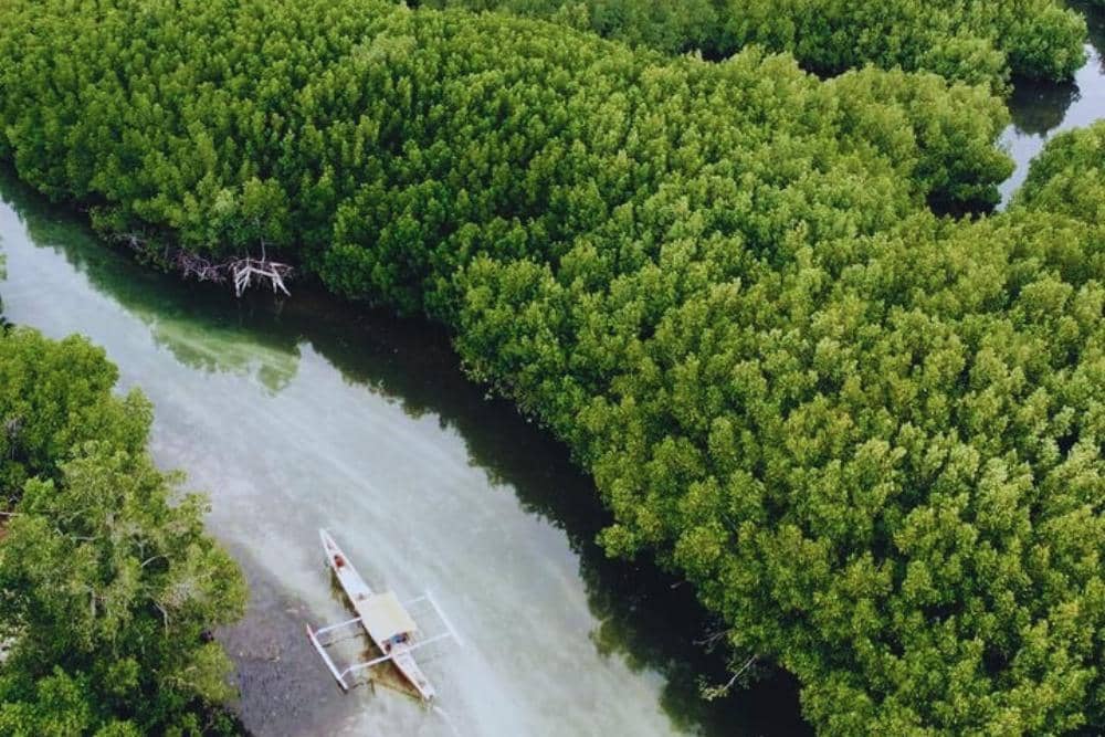 Instagram.com / vistisulsel.id