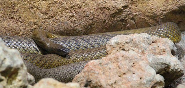 common.wikimedia.org/Bjoertvedt