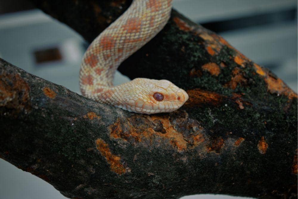 unsplash.com/chinatravelchannel