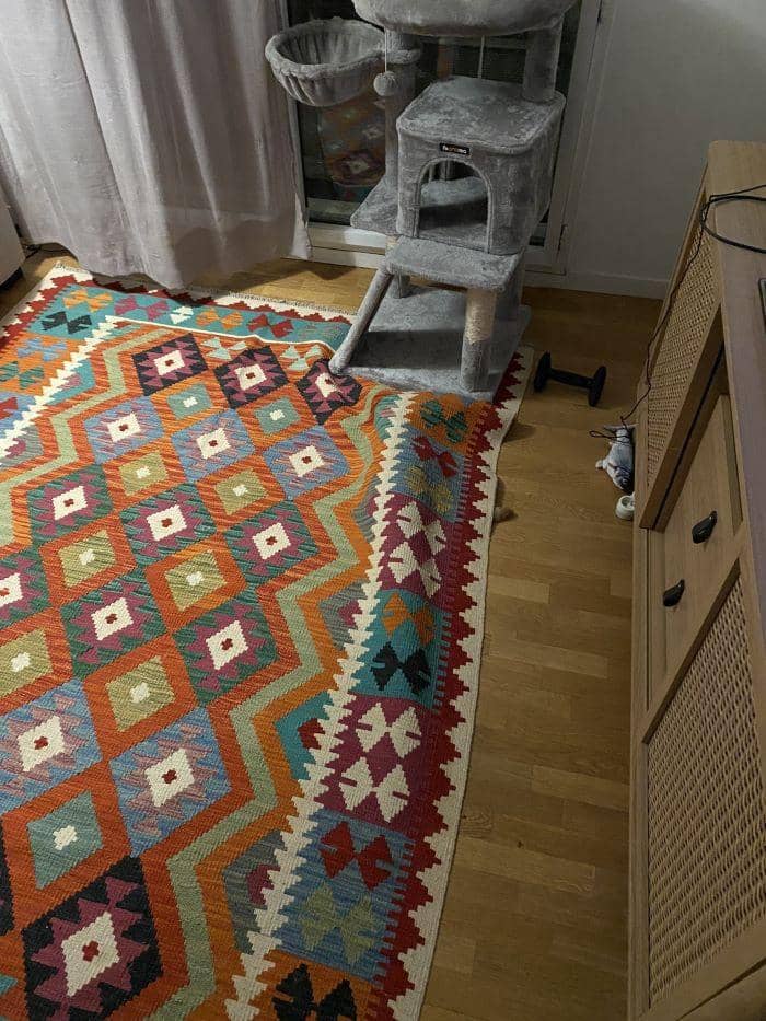 Twitter.com/Thereisnocat_