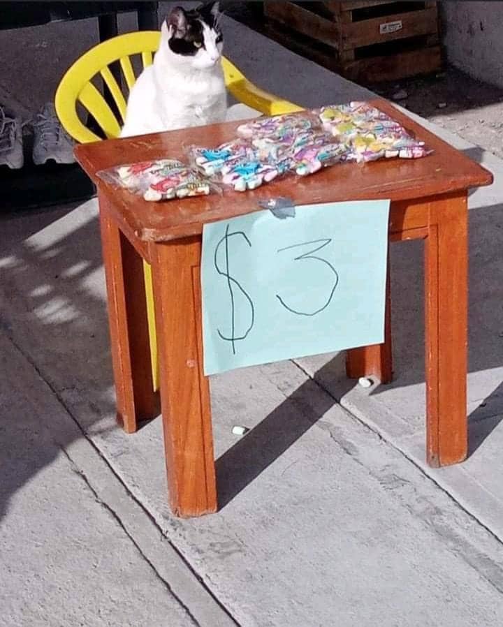 Twitter.com/Catworkers