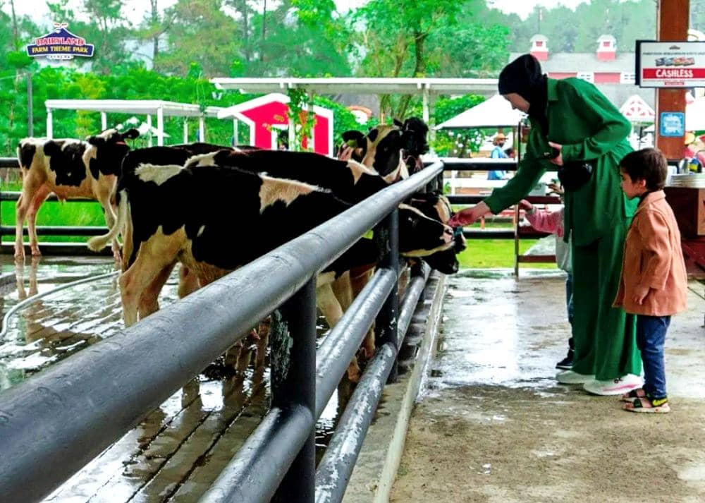 instagram.com/dairyland.puncak