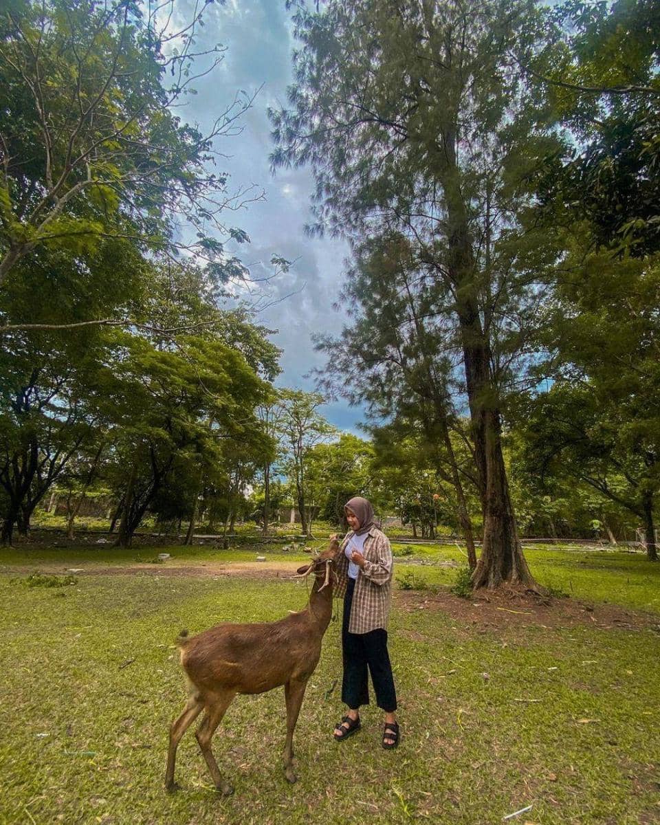 Instagram.com/kraton_solo