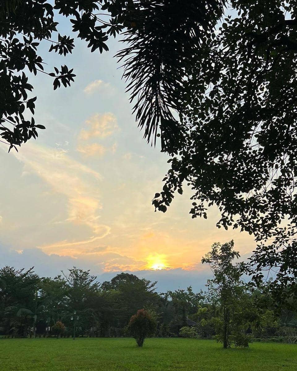 Instagram.com/Ralineshah