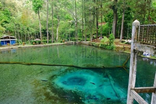 Instagram.com/bagusmaximaliz