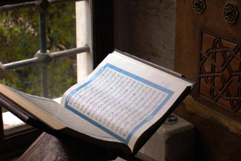 pexels.com/ebru-yılmaz