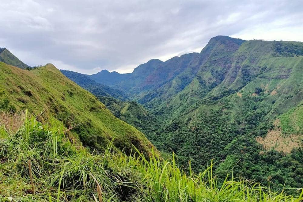 instagram.com/watujengger