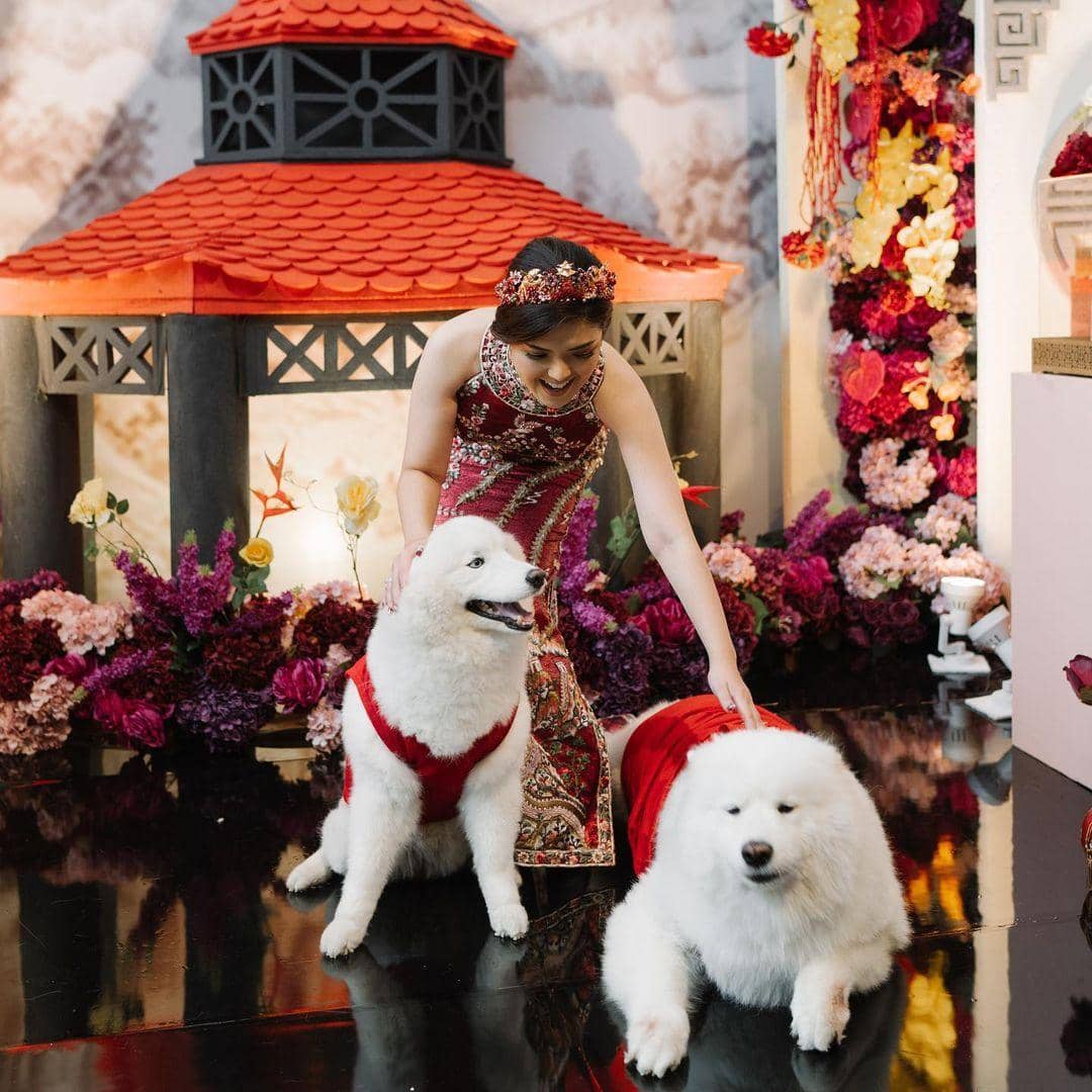 instagram.com/tinatoon101