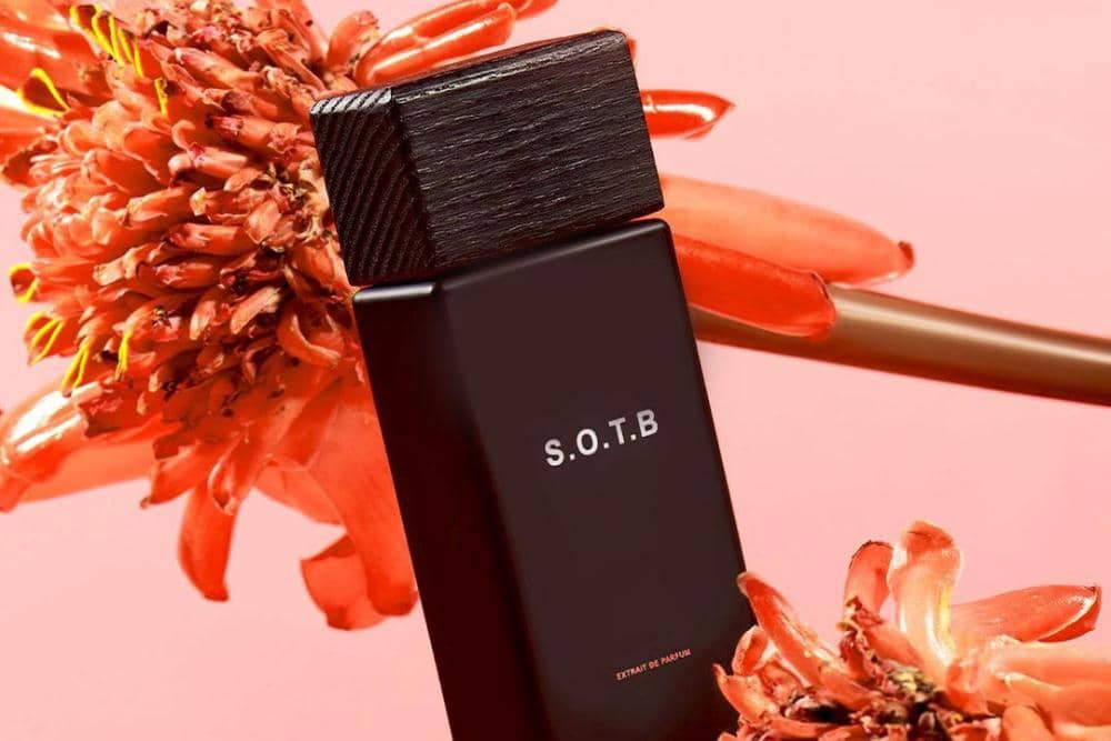 instagram.com/saffnco