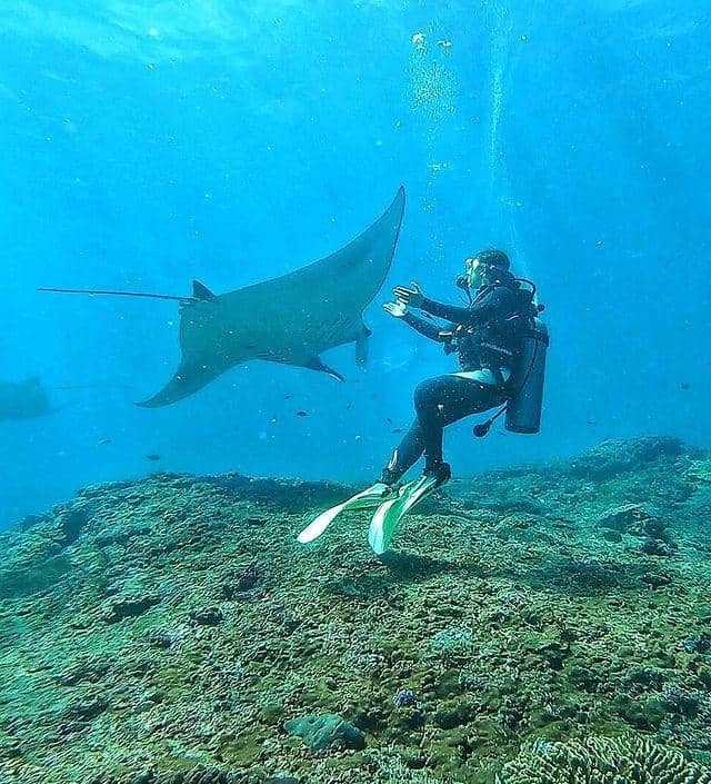 instagram.com/angelagilsha