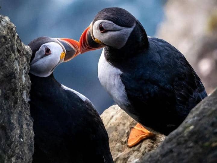 Instagram.com / canadiangirl_abroad