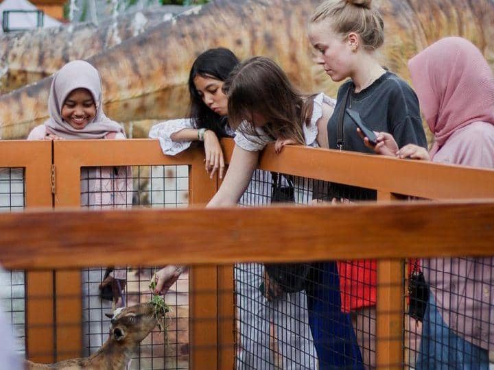 Instagram.com / suralokazoo