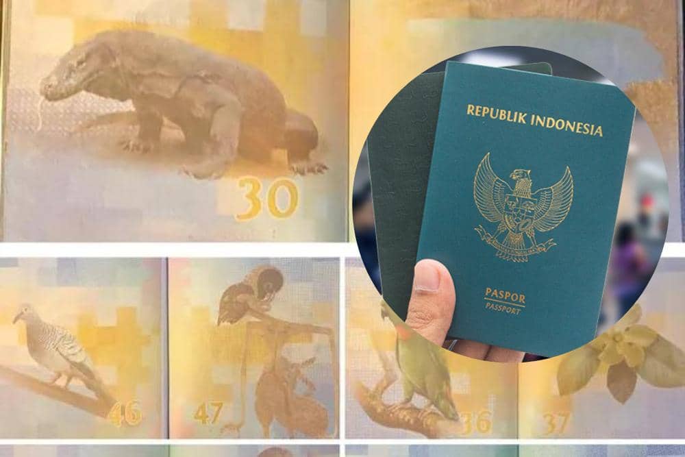 thetravelintern.com & imigrasi.go.id