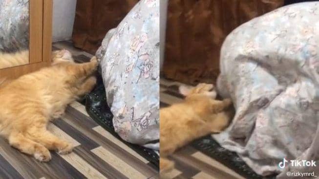 Tiktok.com/rizkymrd_