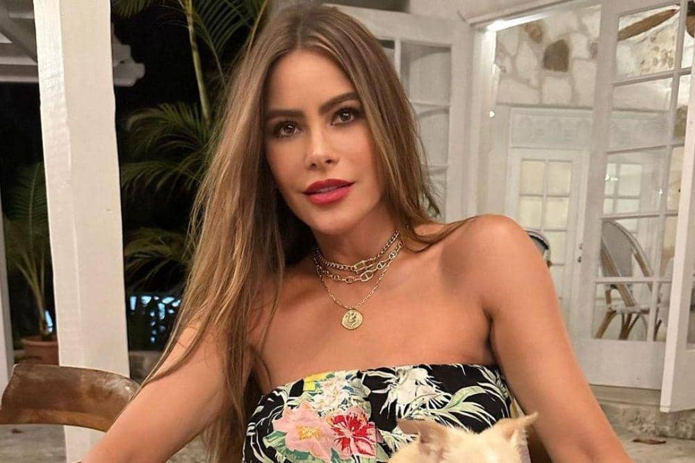 instagram.com/sofiavergara