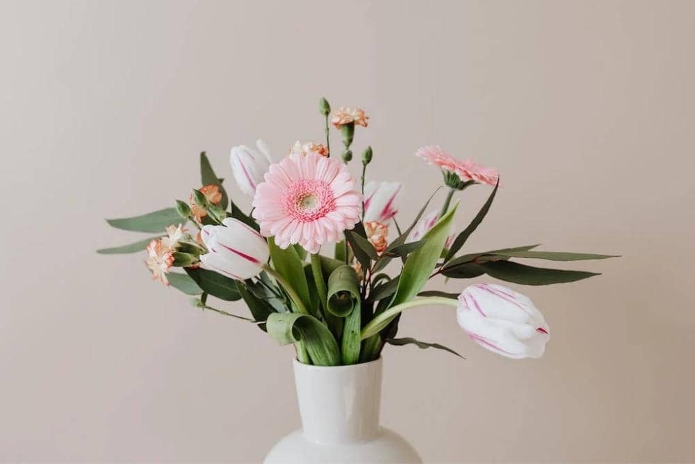 pexels.com/Karolina Grabowska