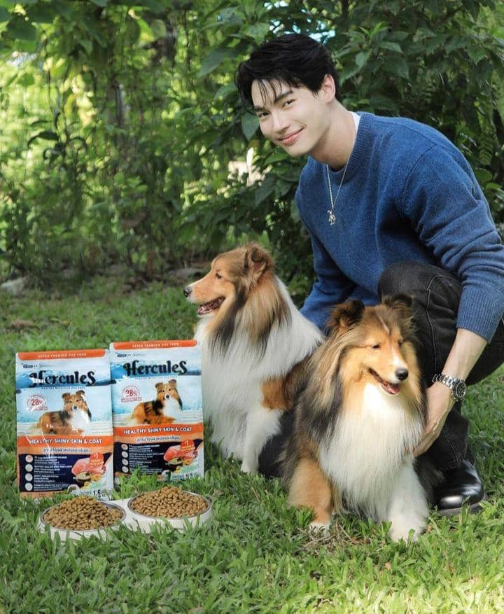 Instagram.com / winmetawin