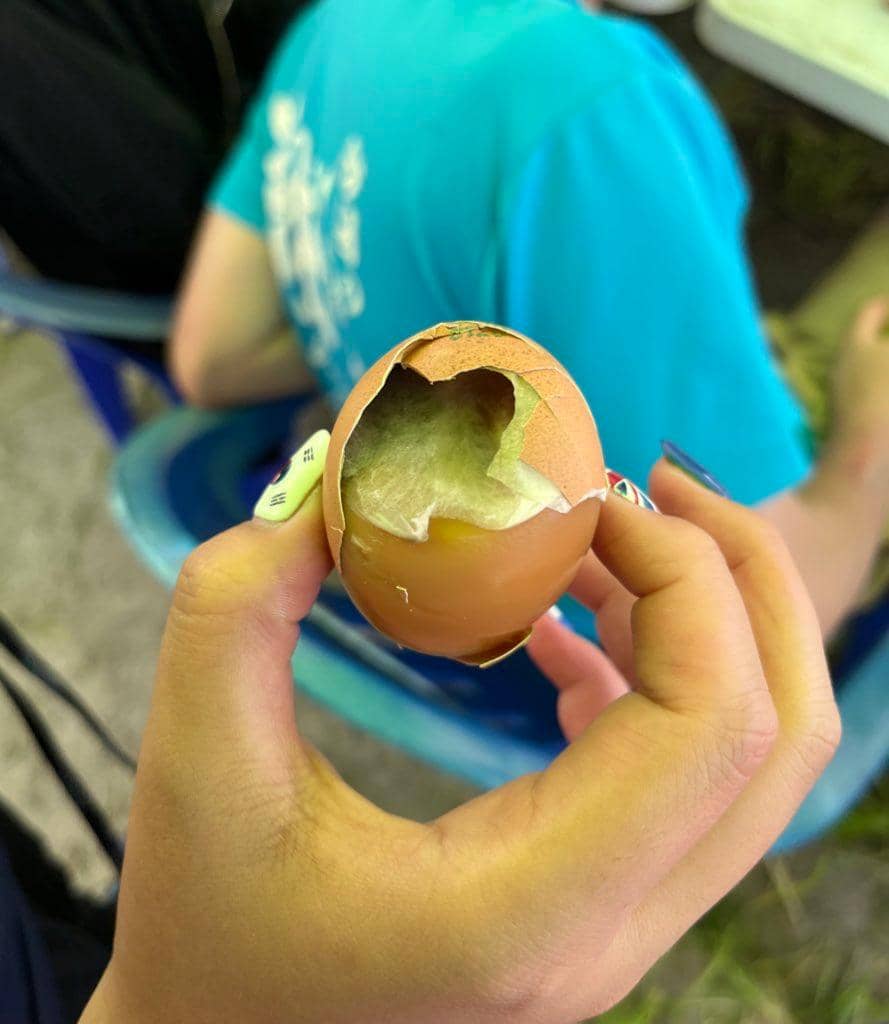 Twitter.com / bitter_gourd58