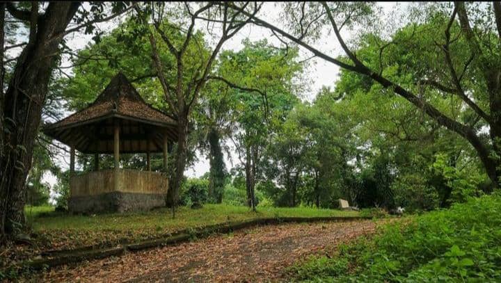 Instagram.com / msulthonrf