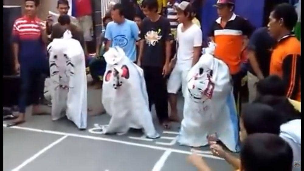 Instagram.com/wkwkland