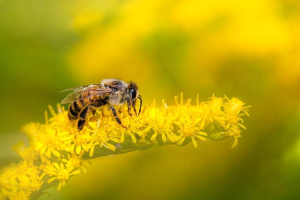 pexels.com/erik-karits