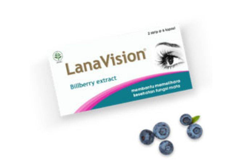 lanavison.co.id