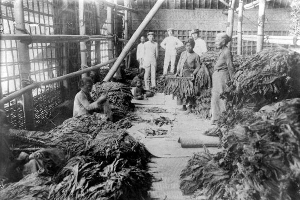 commons.wikimedia.org